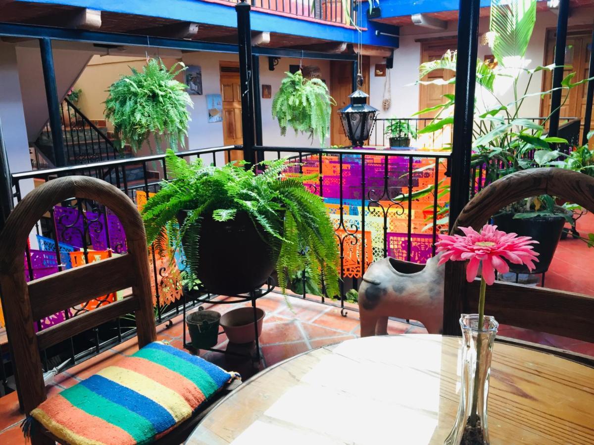 Hotel Cazomalli Oaxaca المظهر الخارجي الصورة