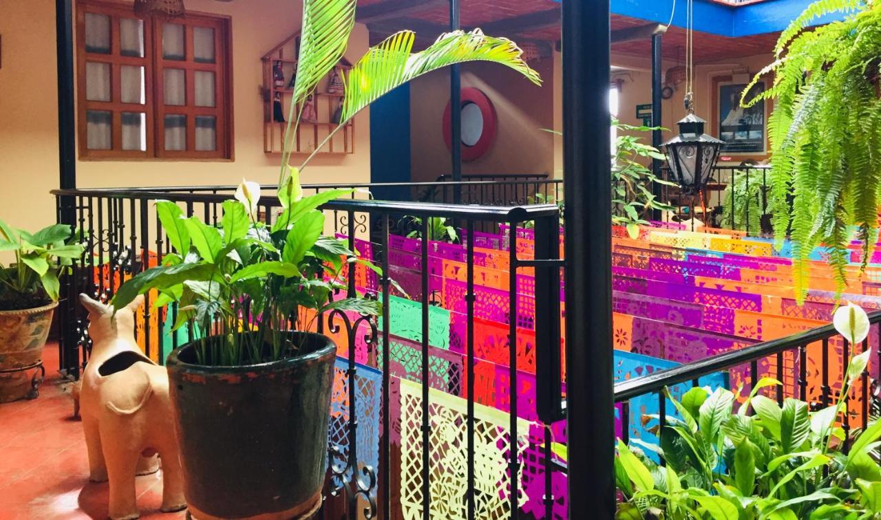 Hotel Cazomalli Oaxaca المظهر الخارجي الصورة