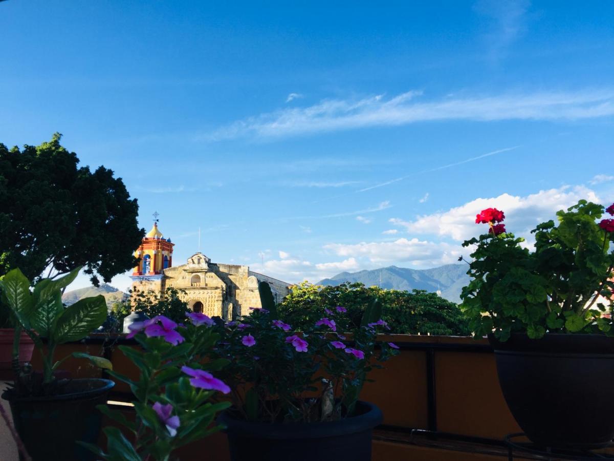 Hotel Cazomalli Oaxaca المظهر الخارجي الصورة
